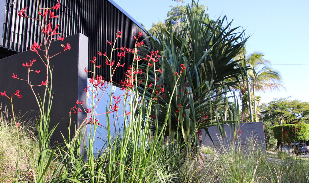 Residential Landscape Design Sunshine Coast Law Residence